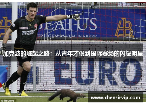 加克波的崛起之路：从青年才俊到国际赛场的闪耀明星
