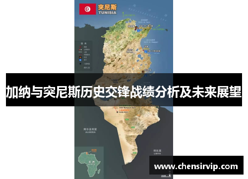 加纳与突尼斯历史交锋战绩分析及未来展望
