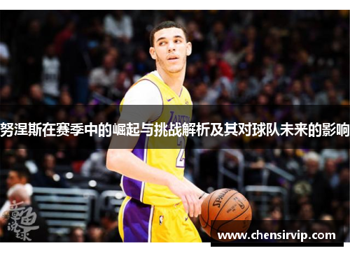 努涅斯在赛季中的崛起与挑战解析及其对球队未来的影响