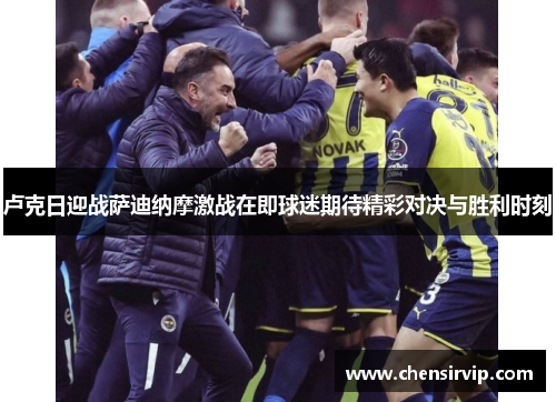 卢克日迎战萨迪纳摩激战在即球迷期待精彩对决与胜利时刻