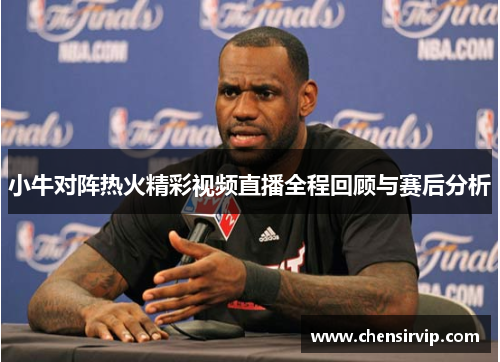 小牛对阵热火精彩视频直播全程回顾与赛后分析