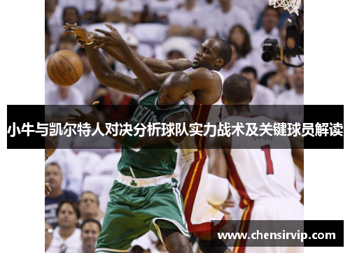 小牛与凯尔特人对决分析球队实力战术及关键球员解读