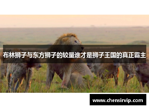 布林狮子与东方狮子的较量谁才是狮子王国的真正霸主